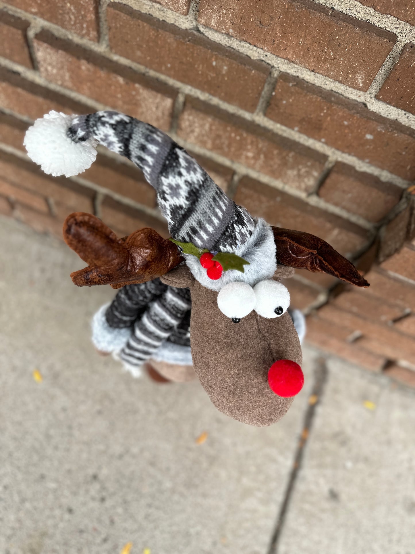 Frosted Moose Stretch Legs