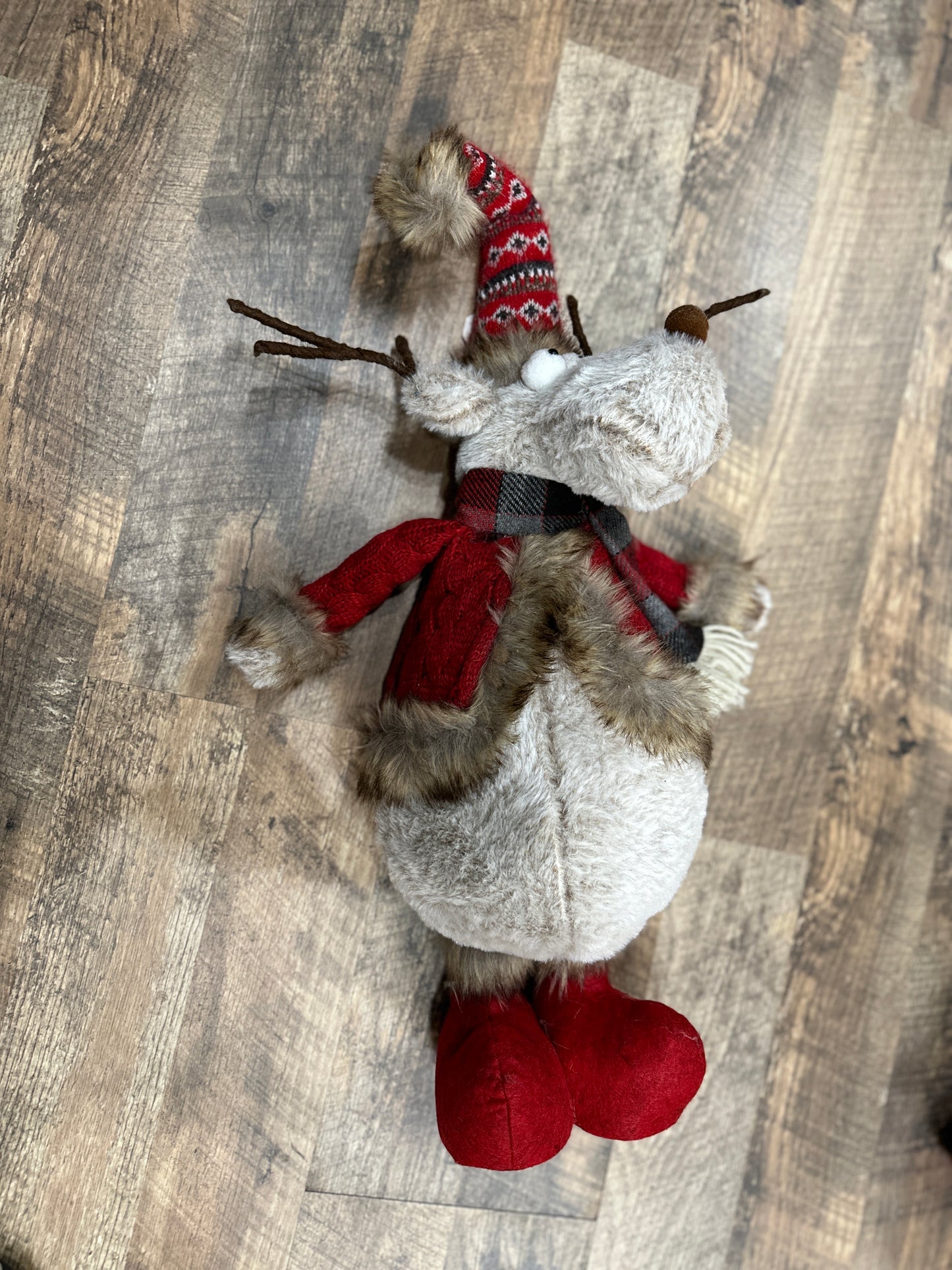 Cocoa Moose
