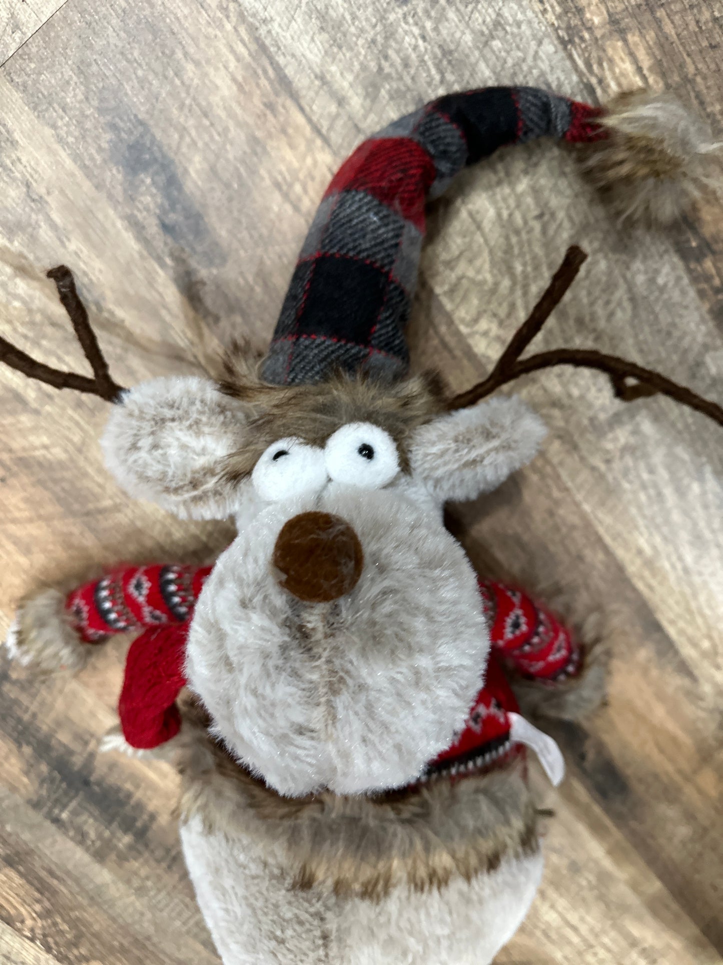 Cocoa Moose