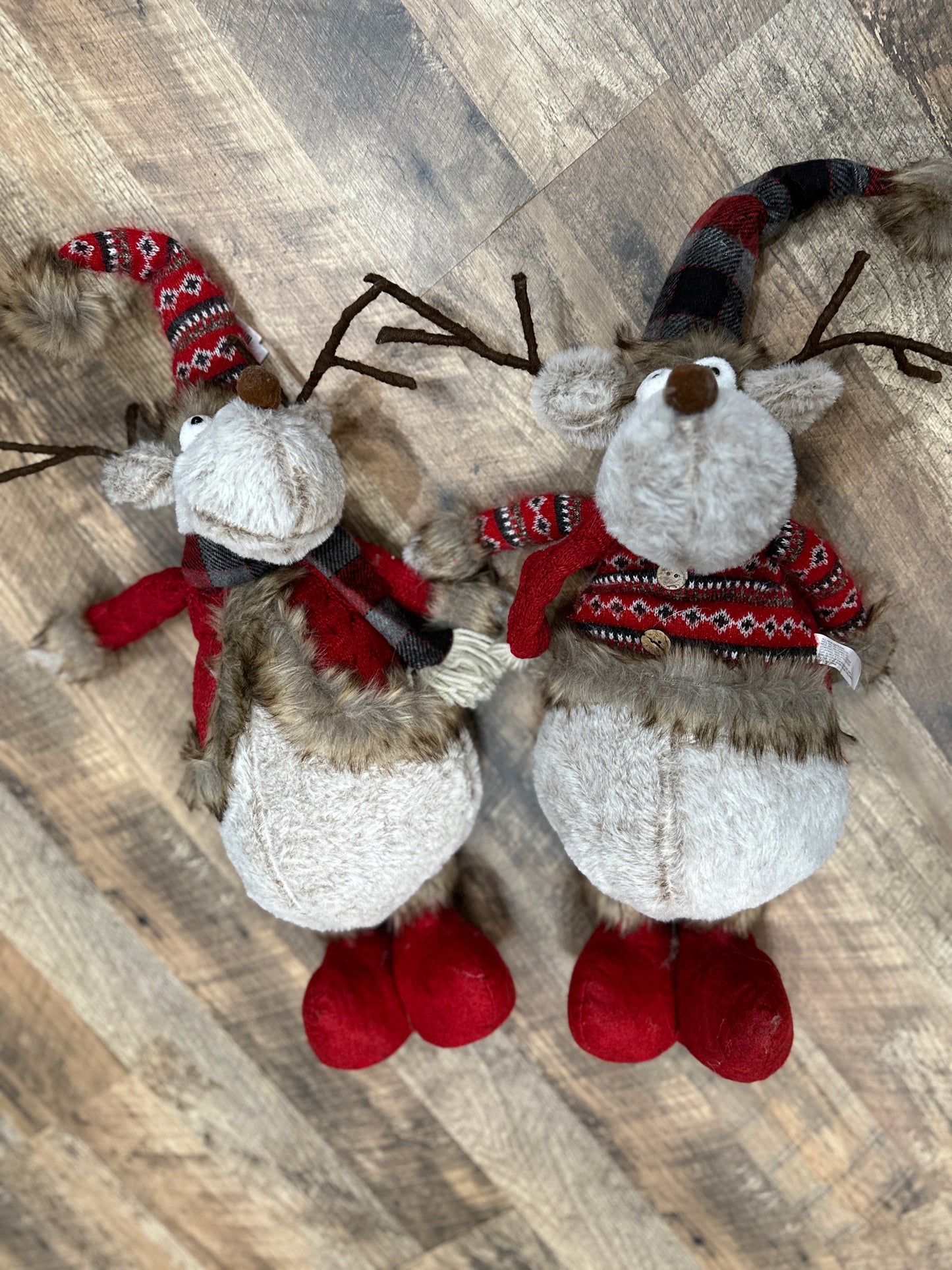 Cocoa Moose